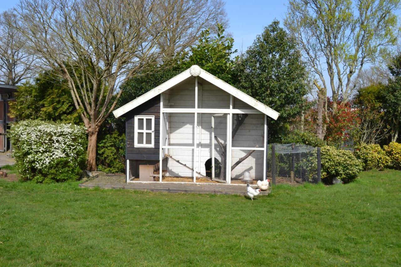 Landelijk Hijken Bed & Breakfast Bagian luar foto