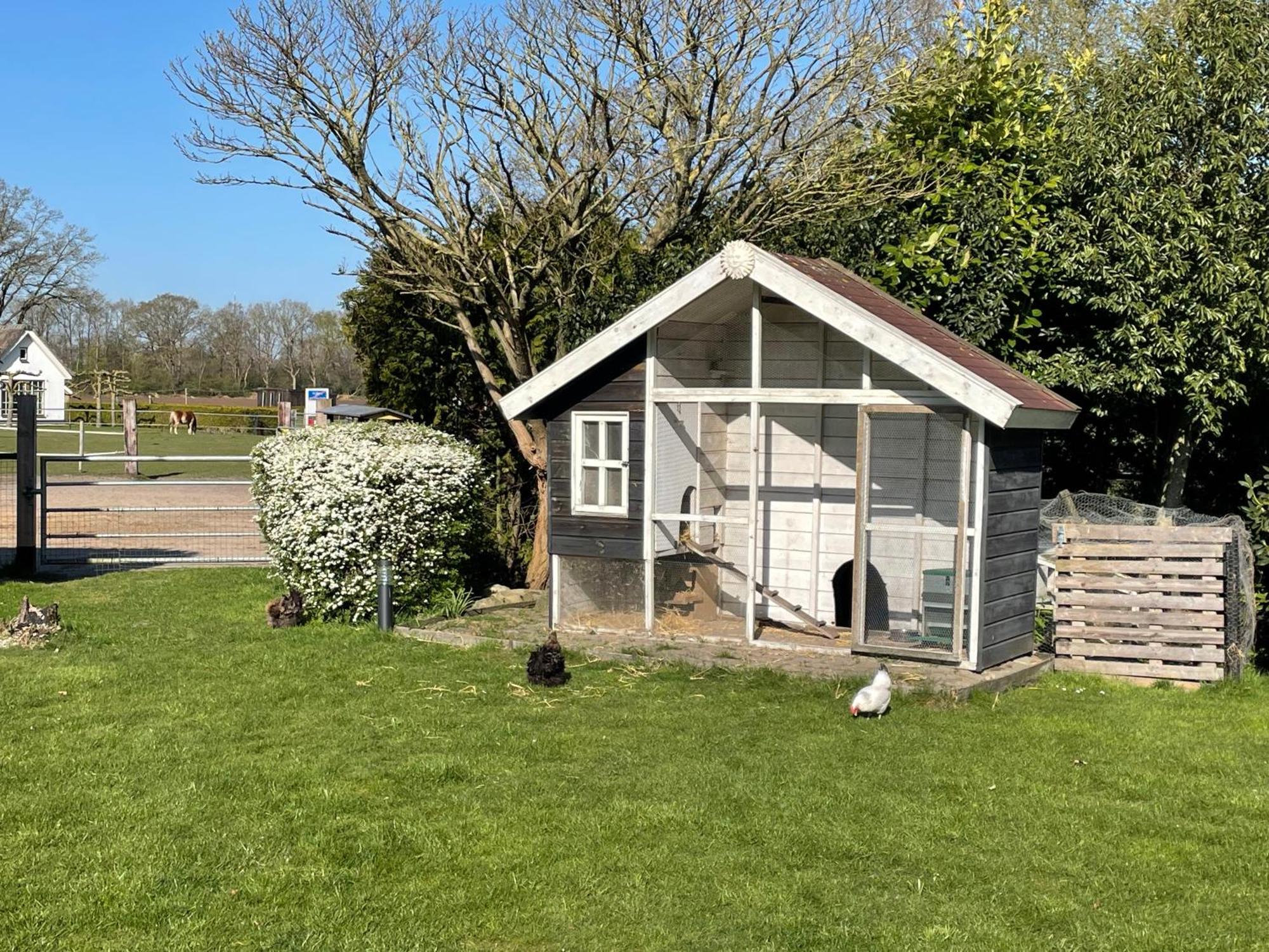 Landelijk Hijken Bed & Breakfast Bagian luar foto